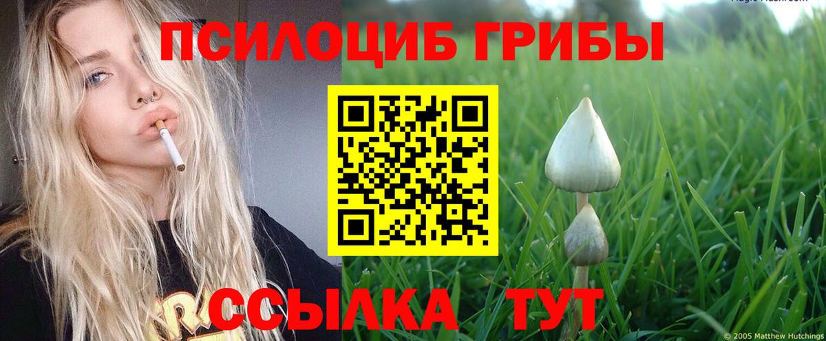 Галлюциногенные грибы мухоморы  Псилоцибиновые грибы Psilocybine cubensis  Вход с VPN  Раменское 