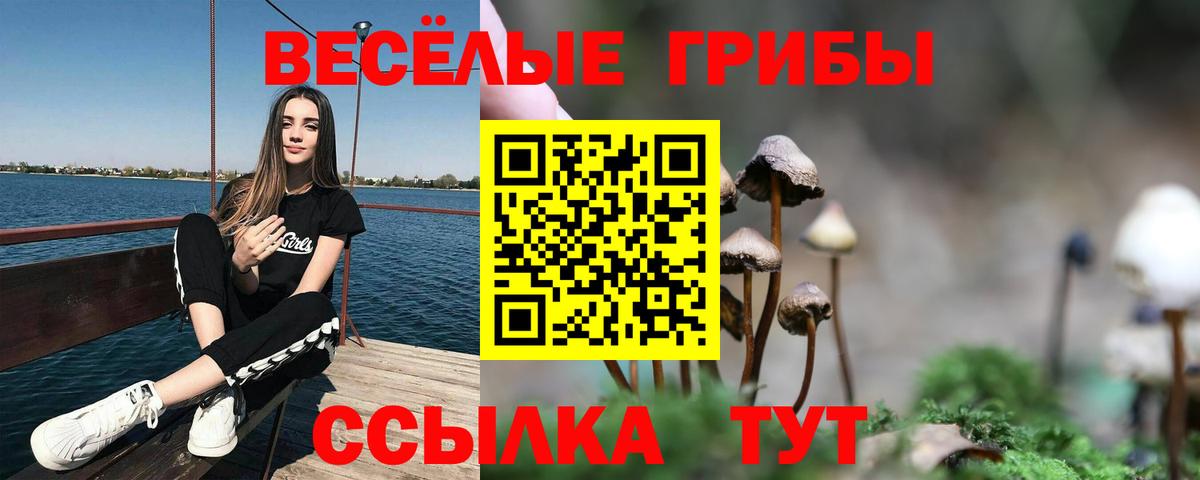 Псилоцибиновые грибы GOLDEN TEACHER Раменское